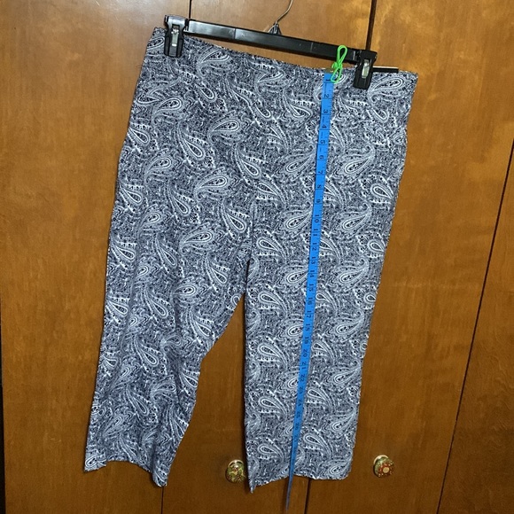 🆕 KIM ROGERS- Super Stretch Capri with Tummy Panel (16) - Picture 2 of 7